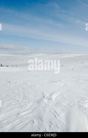 Schneelandschaft in Saariselkä, finnische Lappland Stockfoto