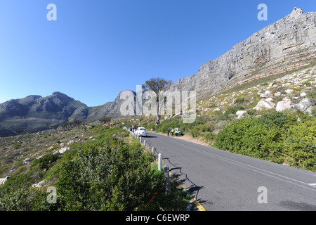 die Straße in der Nähe der Seilbahn-Talstation, am Tafelberg, Cape Town, Western Cape, Südafrika Stockfoto