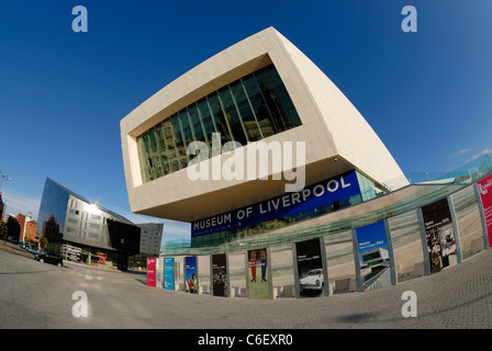 Museum of Liverpool befindet sich am Pier Head, Liverpool. Auf der Hundertjahrfeier der nahe gelegenen legendären Royal Liver Building eröffnet. Stockfoto