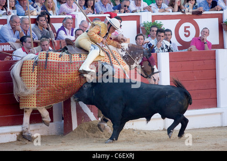 Corrida de Toros. Foto Tomada de la Plaza de Toros de Gijón. Feria Nuestra Señora de Begoña Stockfoto