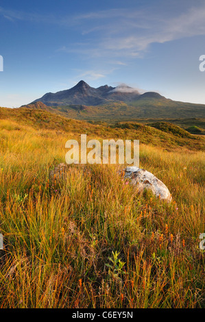 Schönen Sommer Abend Sonnenlicht auf Heidekraut und Gräsern in Glen Sligachan, auf gezackten Gipfeln der Black Cuillin Berge Stockfoto