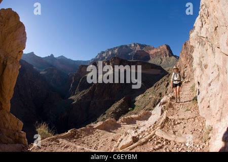 Engel Bright Trail, Grand Canyon Nationalpark in Arizona Stockfoto