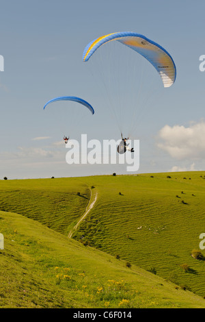 Gleitschirme fliegen über den South Downs Stockfoto