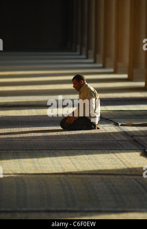 Gebete in der Moschee Ibn Tulun in Kairo. Stockfoto