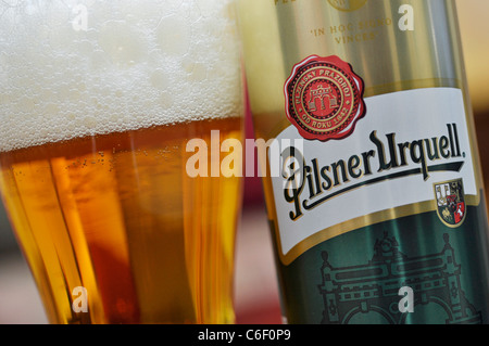 Bierdose und Glas, Pilsner Stockfoto