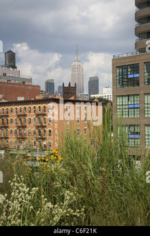 Nordosten sehen aus der High Line in New York eine das Empire State Building droht im Hintergrund. Stockfoto