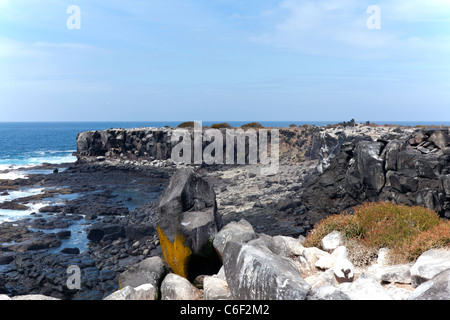 Windigen Klippen am Punta Suarez Espanola Insel Galapagos Stockfoto