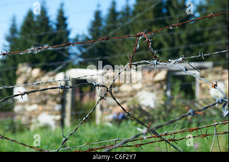 Bucina - Buchwald - Grenze Tschechien-Deutschland - Eisernen Vorhang aus der Zeit des Kalten Krieges - Böhmerwald - Bayerischer wald Stockfoto