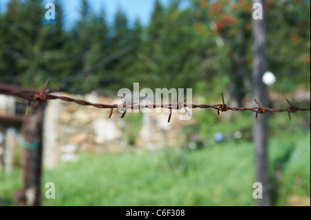 Bucina - Buchwald - Grenze Tschechien-Deutschland - Eisernen Vorhang aus der Zeit des Kalten Krieges - Böhmerwald - Bayerischer wald Stockfoto