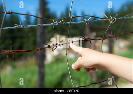 Bucina - Buchwald - Grenze Tschechien-Deutschland - Eisernen Vorhang aus der Zeit des Kalten Krieges - Böhmerwald - Bayerischer wald Stockfoto