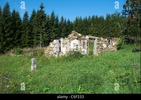 Bucina - Buchwald - Grenze Tschechien-Deutschland - Eisernen Vorhang aus der Zeit des Kalten Krieges - Böhmerwald - Bayerischer wald Stockfoto