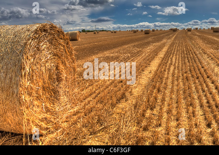 Heuballen in einem Feld nach der Ernte in Leicestershire, England, UK Stockfoto