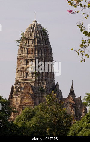 Zerstörten "Stupa" an der Wat Mahathat traditionsgemäß 1384 erbaut und befindet sich in der Ayutthaya-Tempel-Komplex Stockfoto