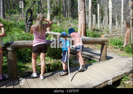 Vltava Riverhead, Tschechische Republik, Sumava, Böhmerwald Stockfoto