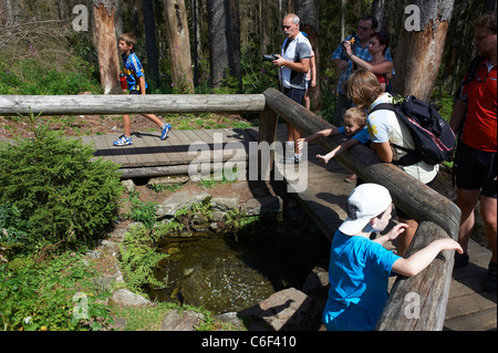 Vltava Riverhead, Tschechische Republik, Sumava, Böhmerwald Stockfoto