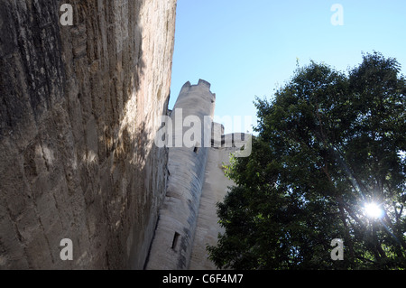 Alte Steinmauer umgeben von historischen Teil der Stadt Avignon in Frankreich Stockfoto