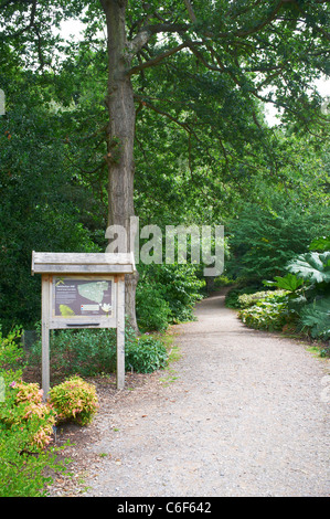 Zugangsweg zum Battleston Hill RHS Garden Wisley Woking Surrey UK Stockfoto