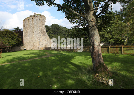 Ruinen von [Drumin Burg], ein 14. Jahrhundert [Turmhaus] in der Nähe von Glenlivet, Moray (Aberdeenshire) Schottland Stockfoto