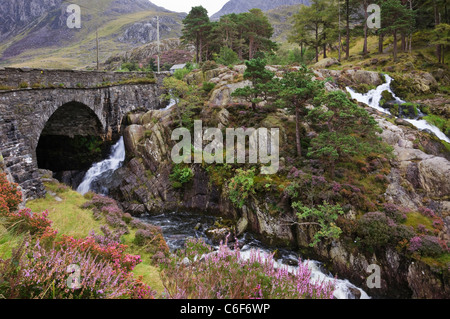 Wasserfall von Pont Pen-y-Benglog A5 Straßenbrücke über Afon Ogwen Fluss in Snowdonia National Park Ogwen Conwy North Wales UK. Stockfoto