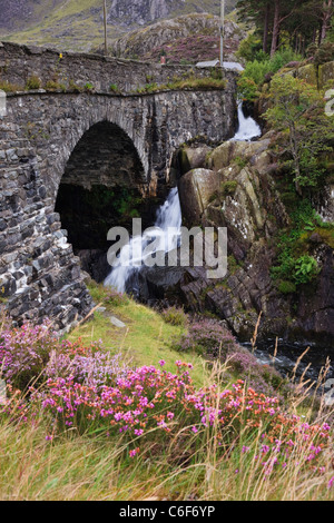 Wasserfall von Pont Pen-y-Benglog A5 Straßenbrücke über Afon Ogwen Fluss in Snowdonia National Park Ogwen Conwy North Wales UK. Stockfoto