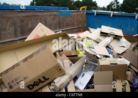 Karton in einen Müllcontainer an einem recycling-Center in Redruth, Cornwall, UK Stockfoto