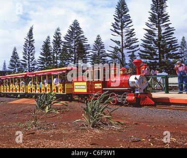 Ananas Express Railway, Dole Plantation, Kamehameha Highway, Wahiawa, Honolulu, Oahu, Hawaii, Vereinigte Staaten von Amerika Stockfoto