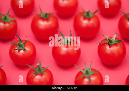 Solanum Lycopersicum. Cherry-Tomate Obst Muster auf rotem Grund Stockfoto