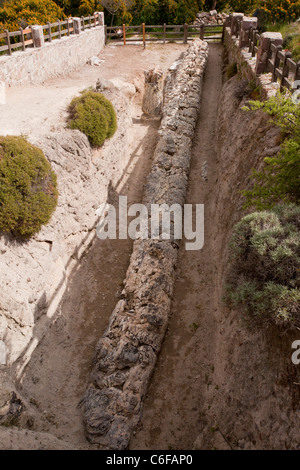 Umgestürzten Baum ausgegraben, in versteinerten Wald, West Lesvos (Lesbos); verursacht durch Vulkanausbruch vor 20 Millionen Jahren. Griechenland. Stockfoto