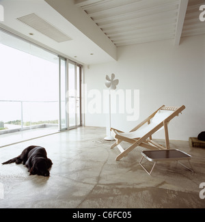 Innenraum eines Hauses am Meer Seite Wohnzimmer mit einem Labrador Hund schlafen Stockfoto