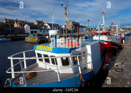 Boote im Hafen von Burghead auf den Moray Firth in Schottland Stockfoto