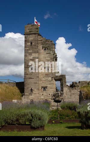 17. Century Life & Times Military und zivile Reenactment, Tutbury Castle, Derbyshire, UK Stockfoto