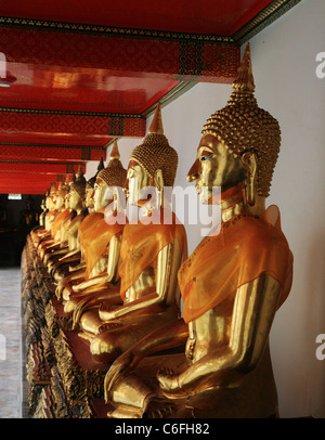 Reihe von Golden sitzenden Buddhas im Wat Pho, Thailand Stockfoto