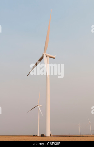 Windkraftanlagen befindet sich auf Ackerland in der Nähe von Amarillo, Texas. Stockfoto