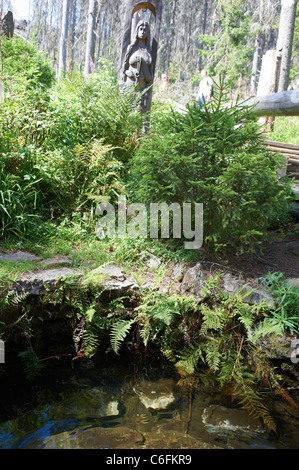 Vltava Riverhead, Tschechische Republik, Sumava, Böhmerwald Stockfoto