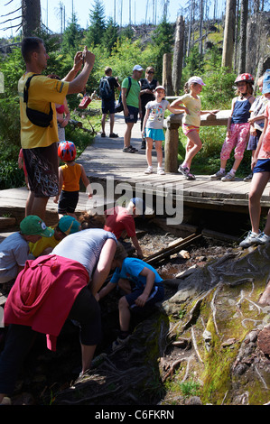 Vltava Riverhead, Tschechische Republik, Sumava, Böhmerwald Stockfoto