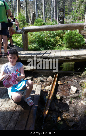 Vltava Riverhead, Tschechische Republik, Sumava, Böhmerwald Stockfoto