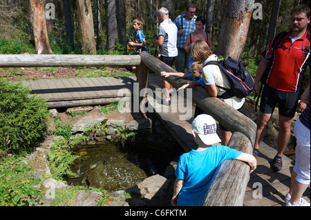 Vltava Riverhead, Tschechische Republik, Sumava, Böhmerwald Stockfoto