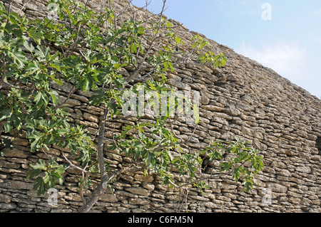 Alte Hütte gemacht aus Steinen in der Bories Dorf in der Nähe von Gordes in Region Provence, Frankreich Stockfoto