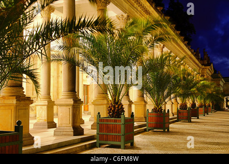 Muehlenkollonade Nacht Karlovy Vary - Karlsbad Mühlenkolonnade Nacht 02 Stockfoto