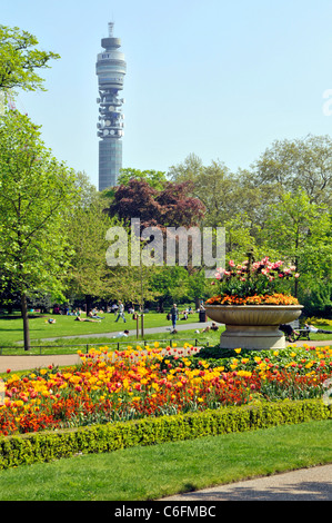 British Telecom BT Tower in London Skyline mit Menschen im Royal Park spring flower gardens im Regents Park London England Großbritannien Stockfoto