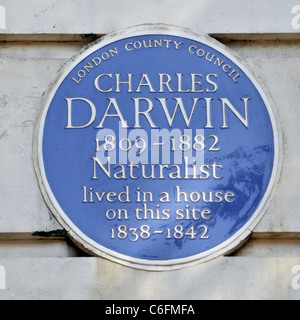 Menschen Ruhm auf Blau Gedenktafel zur Erinnerung an die Verbindung mit berühmten Naturforscher Charles Darwin Gower Street, London England UK verzeichnete Stockfoto