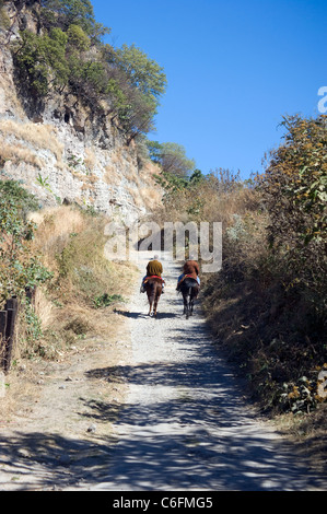 Präsident Felipe Calderon von Mexiko und Peter Greenberg Reiten auf der Jose Cuervo Tequila-Plantage Stockfoto