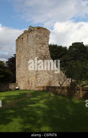 Ruinen von [Drumin Burg], ein 14. Jahrhundert [Turmhaus] in der Nähe von Glenlivet, Moray (Aberdeenshire) Schottland Stockfoto