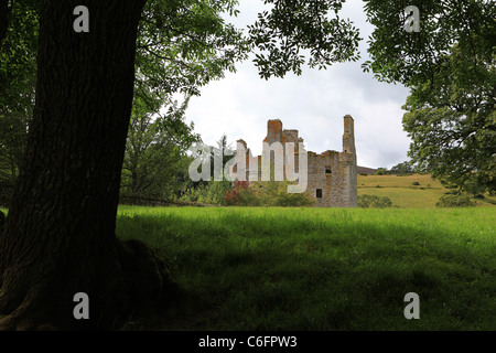 [Glenbuchat Castle], Strathdon, Aberdeenshire, Schottland, ein [16. Jh.] Z geplant erbaute Burg 1590 Stockfoto