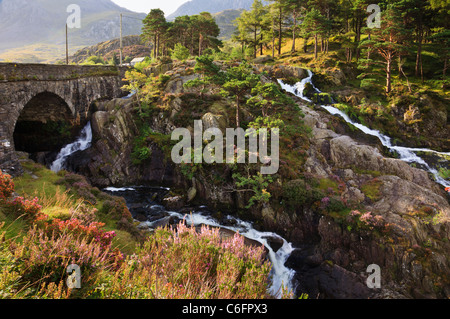 Wasserfall von Pont Pen-y-benglog 5 Straßenbrücke über Afon Ogwen Fluss in Snowdonia National Park im Spätsommer. Ogwen Gwynedd North Wales UK. Stockfoto