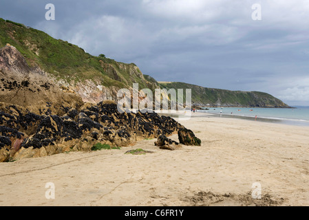 Ein Sandstrand an Gorran Haven Cornwall Stockfoto