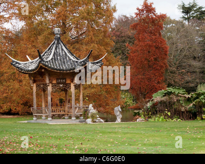 Rote herbstliche Bäume durch die japanische Pagode am RHS Wisley Stockfoto