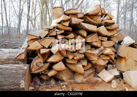 Holzstapel am Arbeitsplatz der Holzfäller im Wald mit geschnitzten Stämme, Späne und Sägemehl auf dem Waldboden Stockfoto