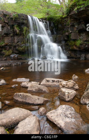 Catrake Force Wasserfall Keld im Swaledale, North Yorkshire England UK Stockfoto