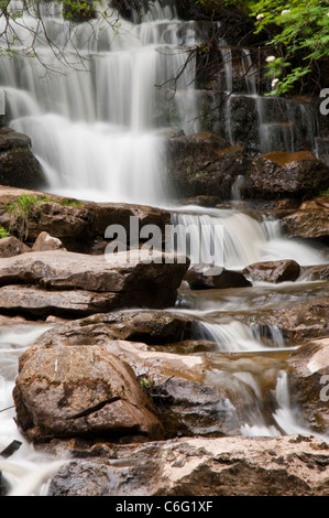 Catrake Force Wasserfall Keld im Swaledale, North Yorkshire England UK Stockfoto